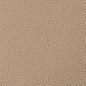 Preview: Baumwolle Dotty Beige by Swafing